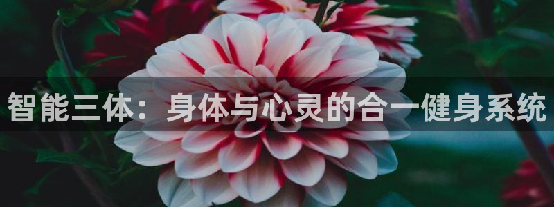 意昂2招商