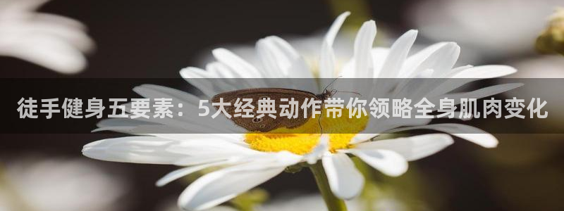 意昂2招商