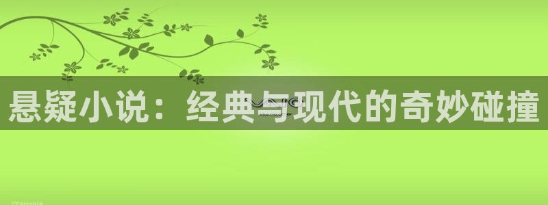 耽美小说小说：悬疑小说：经典与现代的奇妙碰撞
