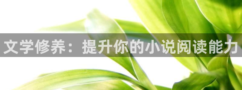 耽美小说黄：文学修养：提升你的小说阅读能力