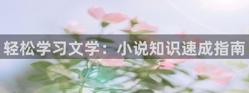 经典耽美小说：轻松学习文学：小说知识速成指南