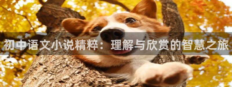 穿越耽美小说：初中语文小说精粹：理解与欣赏的智慧之旅