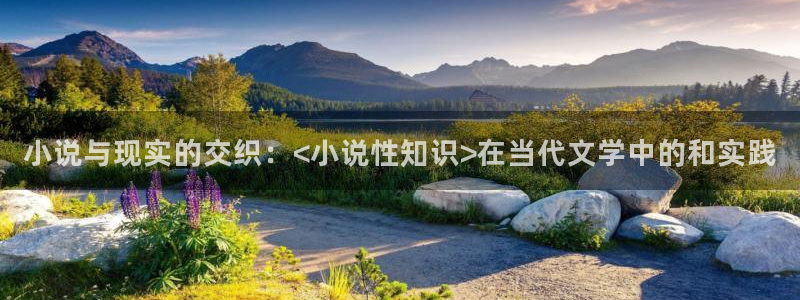 古代耽美小说推荐：小说与现实的交织：<小说性知识>在当代文学中的和实践