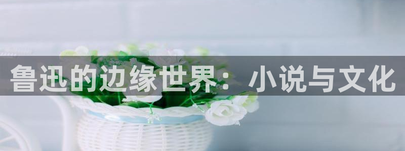 耽美小说小说：鲁迅的边缘世界：小说与文化