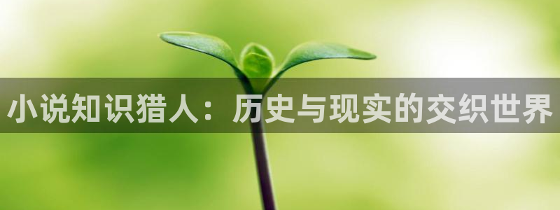 耽美小说是什么：小说知识猎人：历史与现实的交织世界